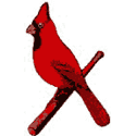 STL